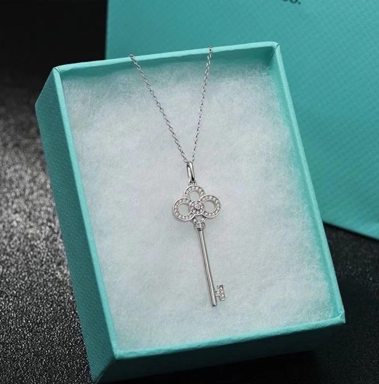 Colar Chave em Platina - Prata 925
